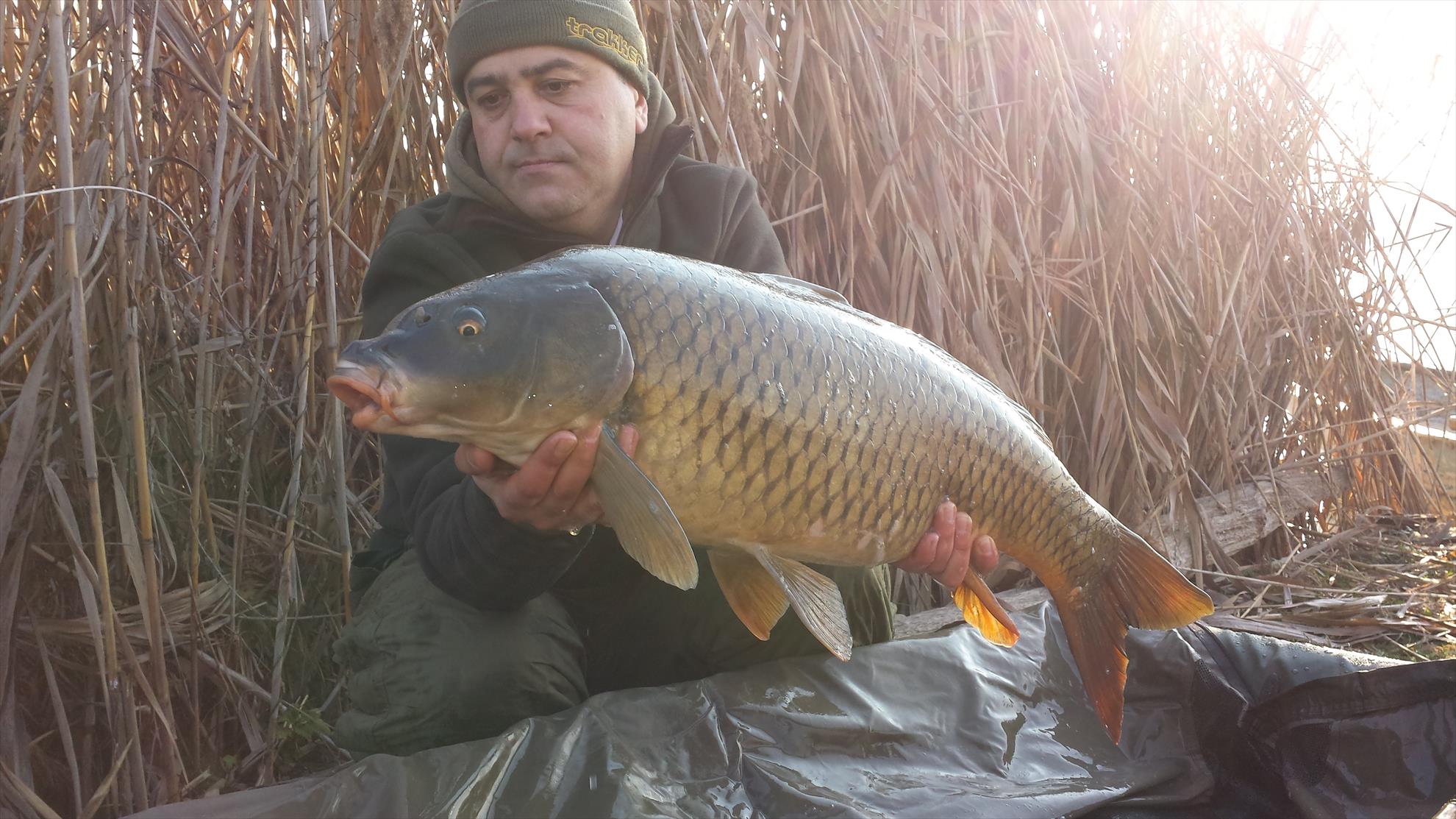 Tancabesti 14 - 16 mar. - 2014-03-15-081303.jpg